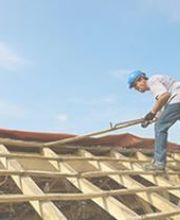 Langlois Nicolas image 1