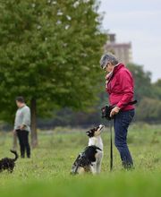 dorothea gawol Bild 1