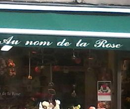 Une Fleur Sur La Place image 1