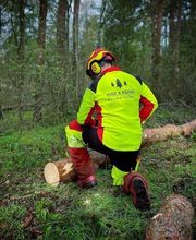 Hinz König Baumarbeiten Gbr Bild 2