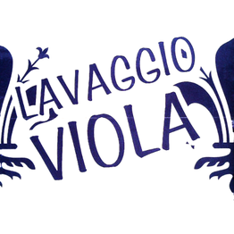 Autolavaggio Viola logo