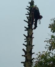 Ets Garden Green image 4