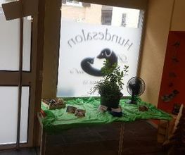Hundesalon Pet Cut's Bild 16