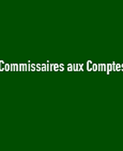 ECA - ECOUTE ET ANALYSES - AUDIT image 4