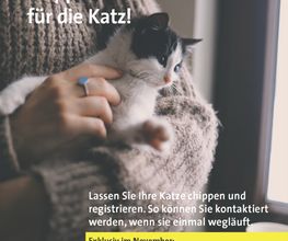 Kleintierpraxis Lindengarten Bild 6