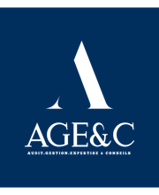 Audit Gestion Expertise & Conseil image 1