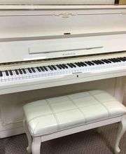 B Natural Pianos & Music School image 7