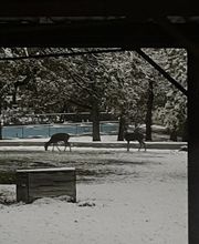 BlackRock Ridge RV Park & Campground image 2