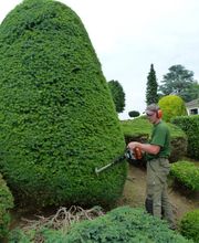 Baumpflege Oliver Schäfer Bild 2