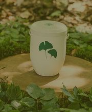 Bestattungshaus Schönfeld GmbH Bild 3