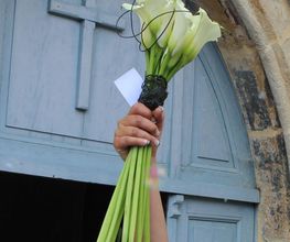 Flowers image 11