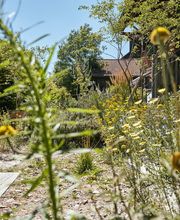 garten•kultur Bild 7