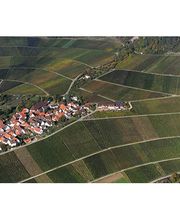 Panoramaweingut Baumgärtner Bild 2
