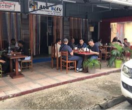 Ara Bleu image 8