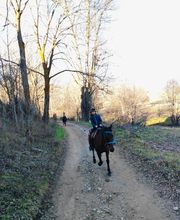 Cerdanya Eqüestre imagen 1