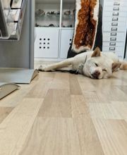 N-G-L-Shop Bild 4