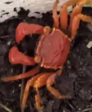 STALLER Martin EIRL AQUABOUTIK image 5