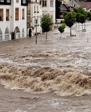 Activ'Expertise Belley Chambéry image 7