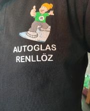 Renllöz Autoglas Bild 18