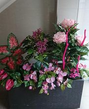 Floristería Imabel imagen 3