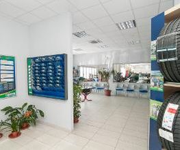 Euromaster Piergomme immagine 11