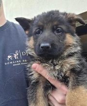 Domaine de Jules image 2