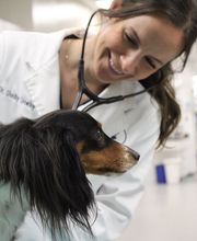 Aspen Creek Veterinary Clinic image 9