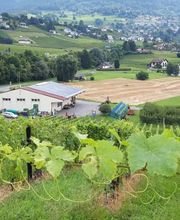 Marché Paysan Bühlmann Bild 11