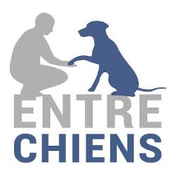 Entre Chiens