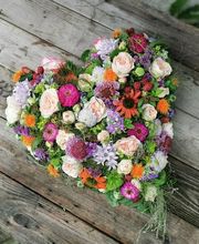 Magnolia Floristik Bild 5