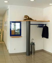 Zahnärztin Dr. med. dent. Aynur Sahin-Kurul Bild 3