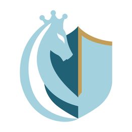 DIE Versicherungsprofis GmbH logo