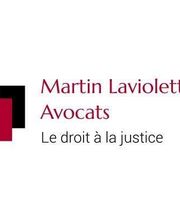 Martin Laviolette image 6