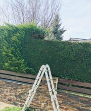 Evd Cerdagne image 10