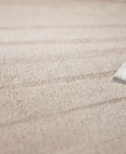 Lehigh Rug Service Carpet Cleaning Stretching Installation Area & Oriental Rug Cleaning image 6