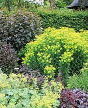 Leprêtre Florian image 1