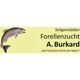 Alina Burkard Forellenzucht u. Fischhandel Burkard