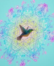 Jeannot Daisy image 13