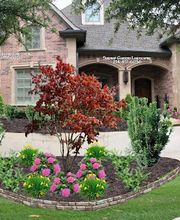 Sundrop Gardens Landscaping image 18