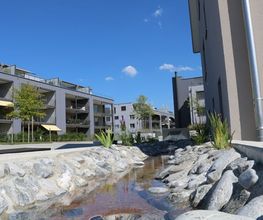 Bührer & Partner Immobilien AG Bild 9