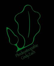 Pferdeosteopathie Cindy Zach Bild 2