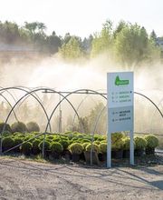 Bernhard Baumschulen AG Bild 13