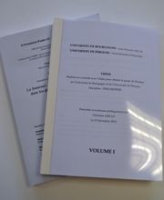 I2E Repro image 6