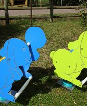 C.I.B.L.E SAS image 12