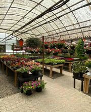 Laurie's Naturescapes image 19