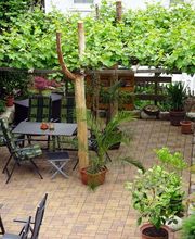 Pension Steinbergsblick Bild 3