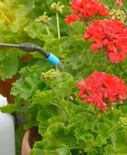 José Manzanares SL imagen 6