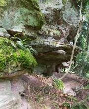 Camping Erbenwald Bild 5