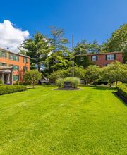 Rugby Square Apartments image 14