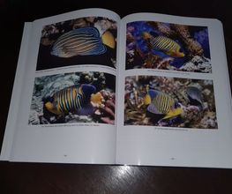S&L Naturverlag Bild 10